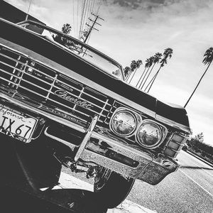 Meet your Posher, Travis